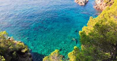 Buscador de hoteles en Lloret