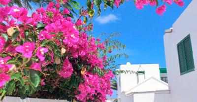 Hoteles pensión completa en Lanzarote